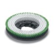 Numatic 330mm Polyscrub Brush Twin Brush Design