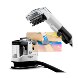 Gtech Penguin Spot Cleaner