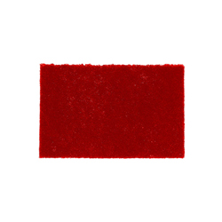 Red Scourer 9