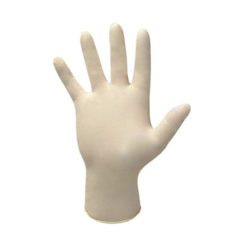 Powder Free Latex Gloves (Large)