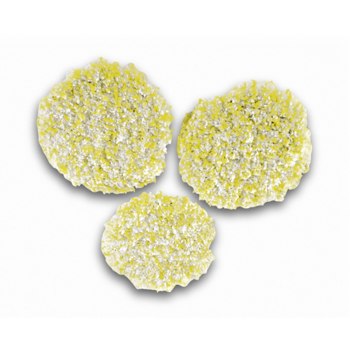 Karcher Stone, Linoleum & PVC Polishing Pads