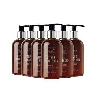 Silver Buckthorn Hand Wash (6 x 300ml)