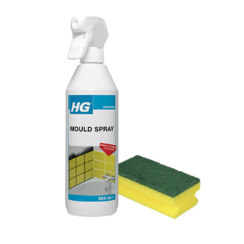 HG Mould Spray with Foam Scourer