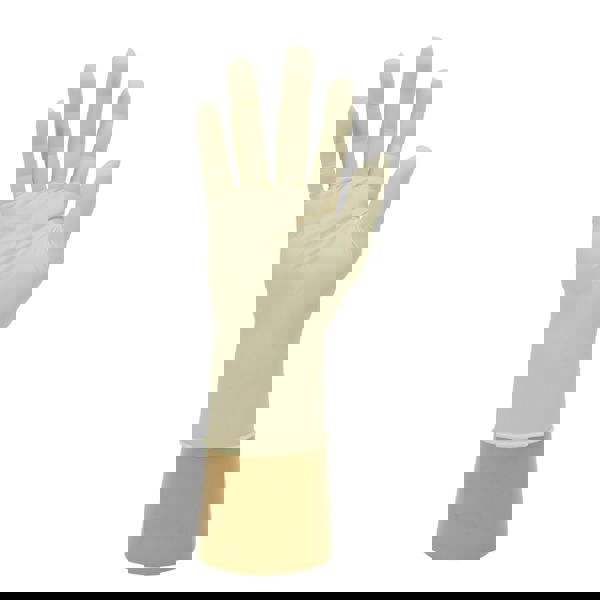 Powder Free Latex Glove (X Large)