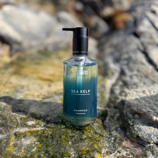 Scottish Fine Soaps Sea Kelp Shampoo (6 x 300ml)