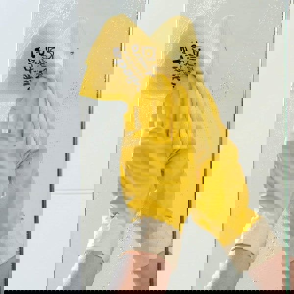 Vileda PVAmicro Cloths (Yellow)