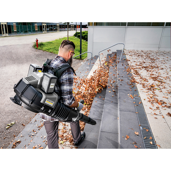 Karcher LBB 1060/36 Bp Backpack Leaf Blower (Bare)