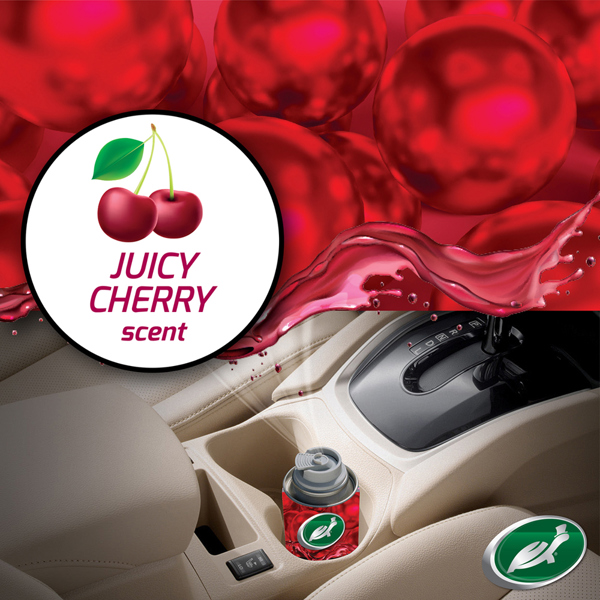 Turtle Wax Odor-X Whole Car Blast Cherry (100ml)