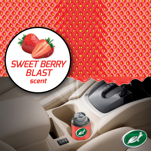 Turtle Wax Odor-X Whole Car Blast Sweet Berry (100ml)