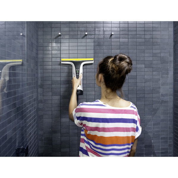 Karcher WV 6 Plus Window Vacuum