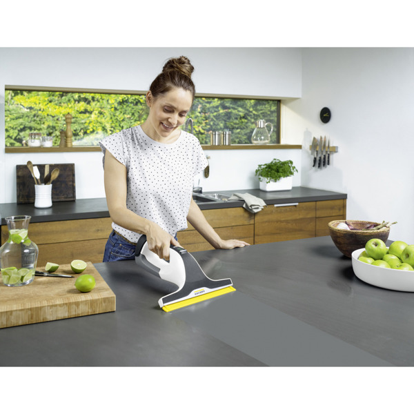 Karcher WV 6 Plus Window Vacuum
