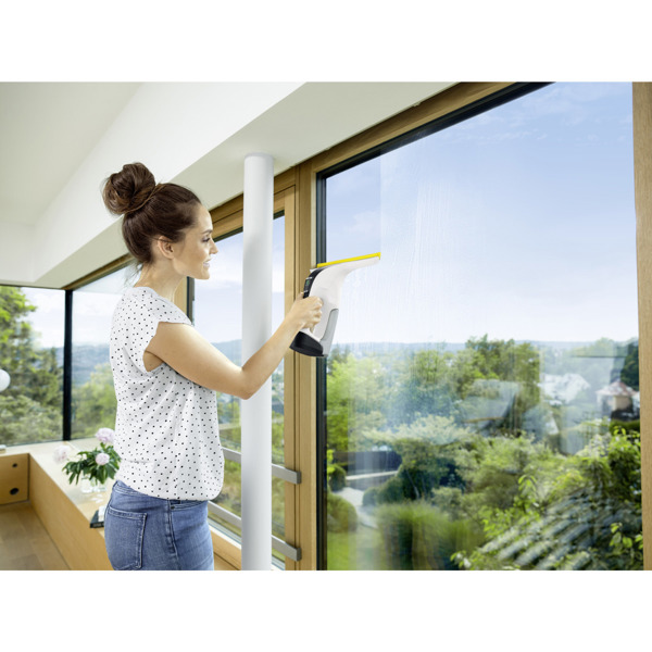 Karcher WV 6 Plus Window Vacuum
