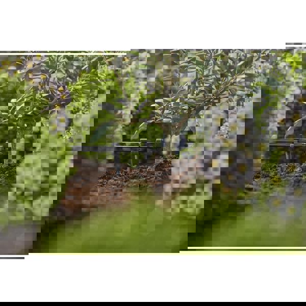 Gardena Endline Drip Head 2 l Pressure Compensate