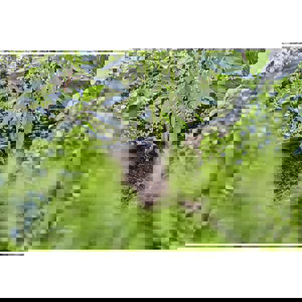 Gardena Inline Drip Head 2 l Pressure Compensate