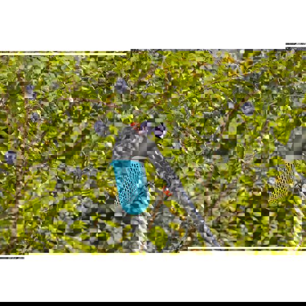 Gardena combisystem Berry Picker