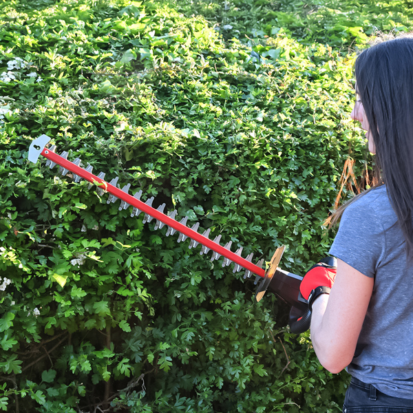Cobra HT55040VX 60cm 40V Cordless Hedge Trimmer with Battery & Charger