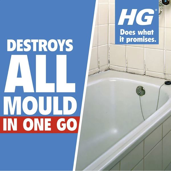 HG Mould Spray with Foam Scourer