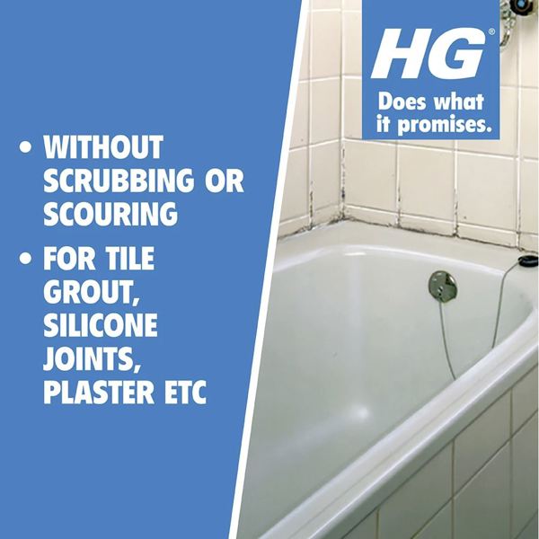 HG Mould Spray with Foam Scourer
