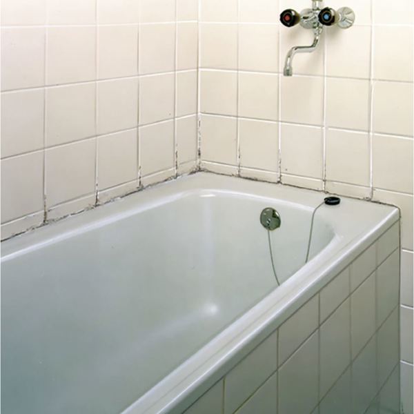 HG Mould Spray with Foam Scourer
