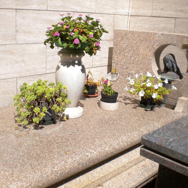 HG Headstone Cleaner with Microfibre Cloth & Protective Gloves