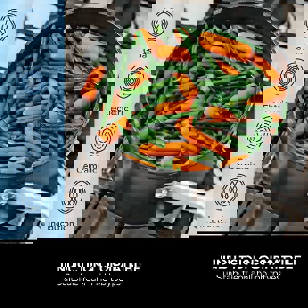 Ninja ZEROSTICK Essentials 20cm Saucepan with Lid C10220UK