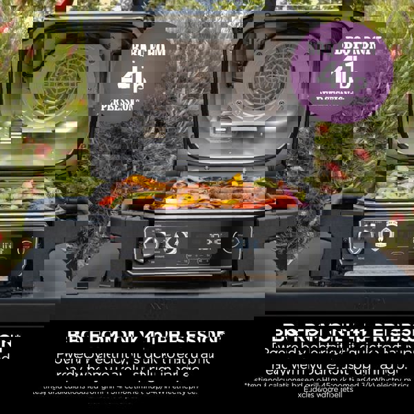 Ninja Woodfire Electric BBQ Grill & Smoker OG701UK