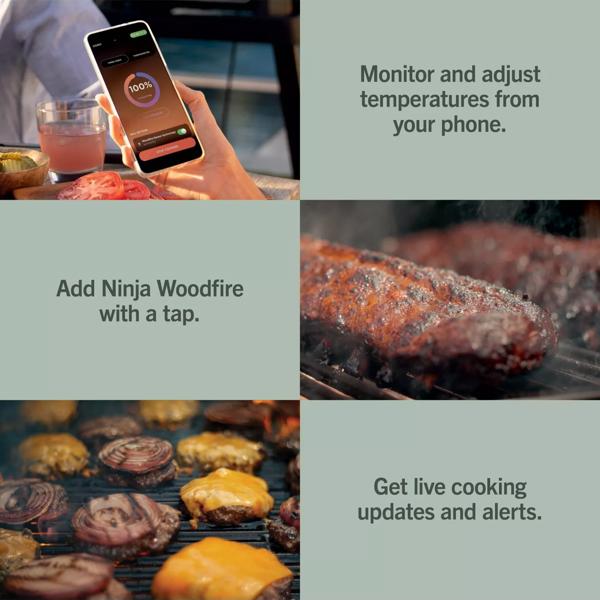 Ninja FlexFlame ProConnect Gas BBQ & Outdoor Cooking System PG305UK