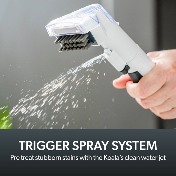 Gtech Penguin Spot Cleaner