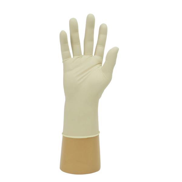 Lightly Powdered Latex Gloves (X Large)