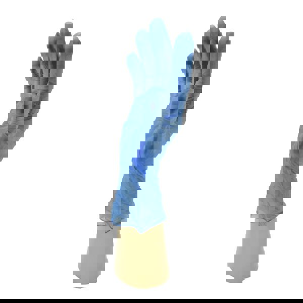 Powder Free Blue Vinyl Gloves (Medium)