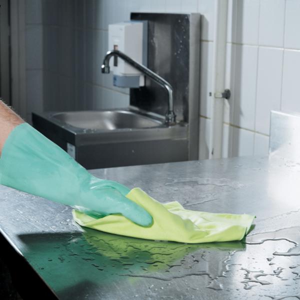 Spontex Ariane Ultra 1222 Microfibre Cloths (Green)