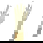 Powder Free Latex Glove (X Large) thumbnail