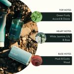 Scottish Fine Soaps Sea Kelp Shampoo (6 x 300ml) thumbnail