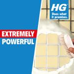 HG Grout Cleaner  thumbnail