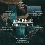 Scottish Fine Soaps Sea Kelp Hand Wash Refill Pack (5 Litre) thumbnail