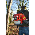 Cobra BP43C 43cc Petrol Backpack Blower thumbnail