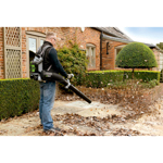 Ego LB6000E-K1103 Leaf Blower Kit with 10Ah Battery & Quick Charger thumbnail