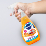 Ecozone Kitchen Cleaner thumbnail