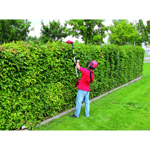 Einhell GE-HC 18 Li T 18V Cordless High Reach Hedge Trimmer & Pruner (Bare) thumbnail