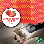 Turtle Wax Odor-X Whole Car Blast Sweet Berry (100ml) thumbnail