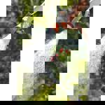 Gardena Classic Water Sprayer thumbnail