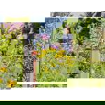 Gardena Basic Starter Set thumbnail