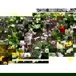 Gardena Extension Irrigation for Rows of plants protruding above the ground 4.6mm (3/16