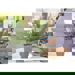 Gardena HerbCut thumbnail