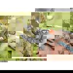 Gardena Garden Secateurs A/M Anvil thumbnail