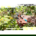 Gardena Promotion Garden Secateurs B/S-XL 1 thumbnail