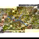 Gardena 2in 1 EnergyCut Hedge Clipper thumbnail