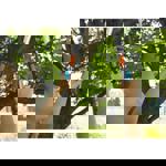 Gardena TeleCut 450-650 B Promotion  thumbnail