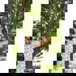 Gardena TeleCut 450-650 B Promotion  thumbnail