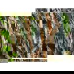 Gardena SlimCut thumbnail